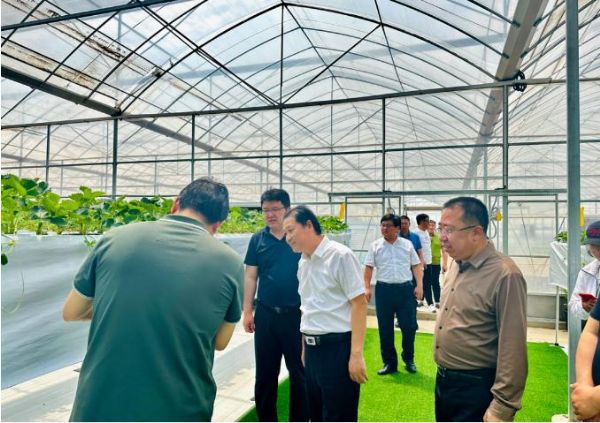 段友臣“四不兩直”到天地園藝現代設施果樹種苗育繁推一體化項目督導調研